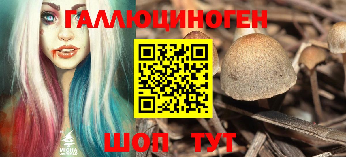 Псилоцибиновые грибы Psilocybine cubensis Коммунар